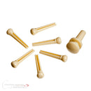 D'Addario Plastic Bridge Pins