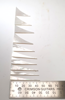 Inlay Set - Shark Fin - Mother or Pearl and Imitation Mother of Pearl - Set of 10 - Showing Size