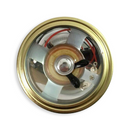 The Blueberry 'JAM' Jar Amp